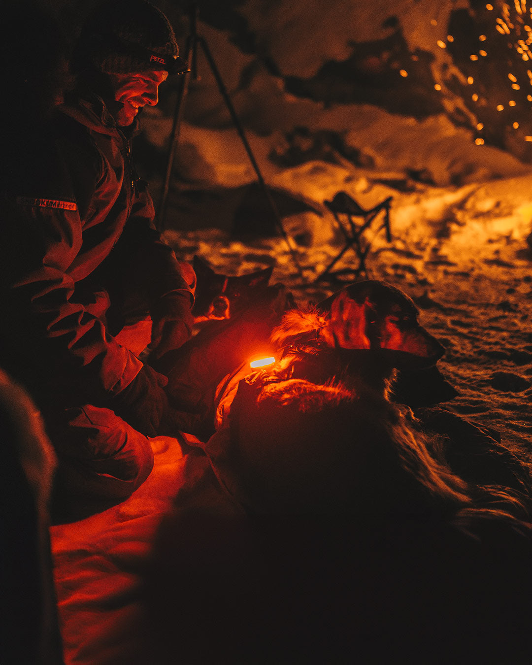 Man and his golden in Yukon winter at night. The dog is wearing the pitchblack night light from säker in the red mode