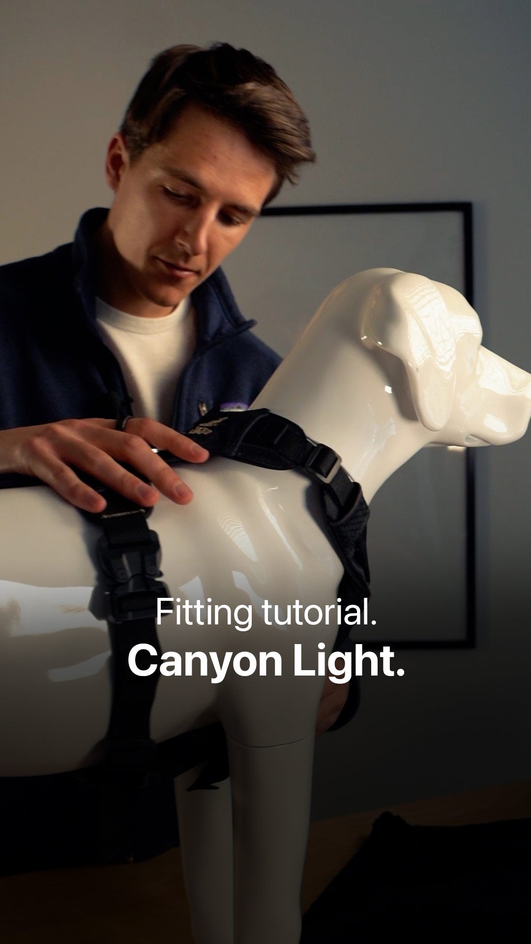 Man showing how to fit the canyon light harness on a dog