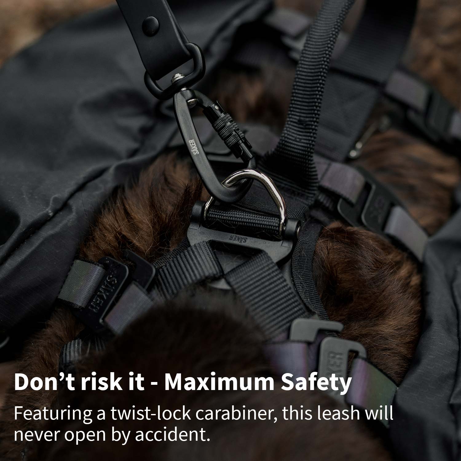 Close view of the twist-lock carabiner on the saker sentiero leash