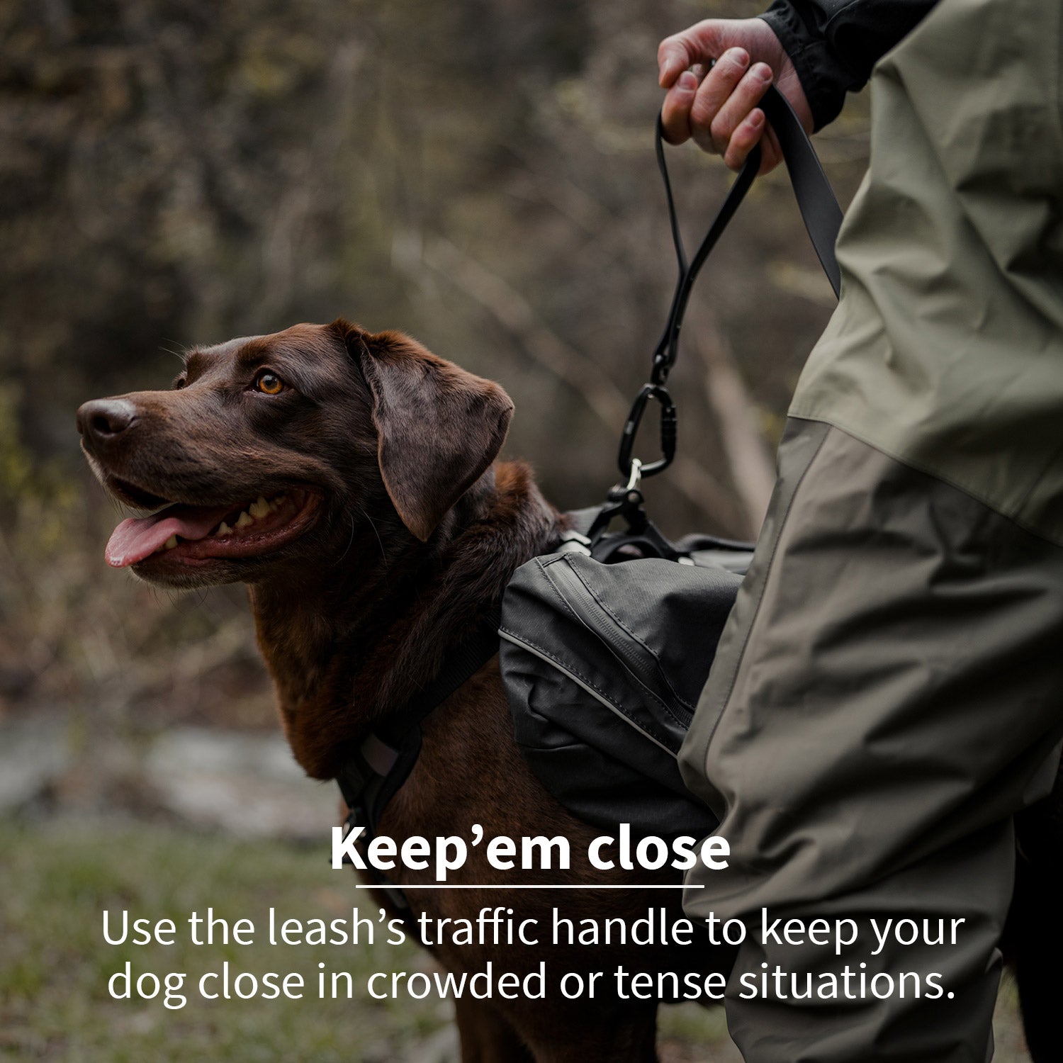 Close view of the sentiero dog leash traffic handle