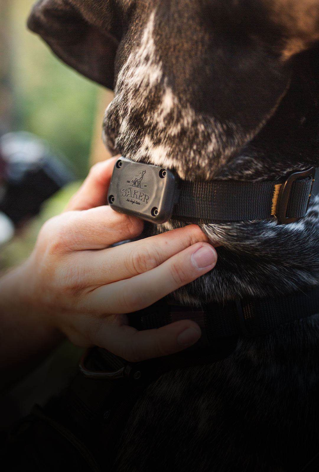 Close view of the shield airtag holder on a dog collar