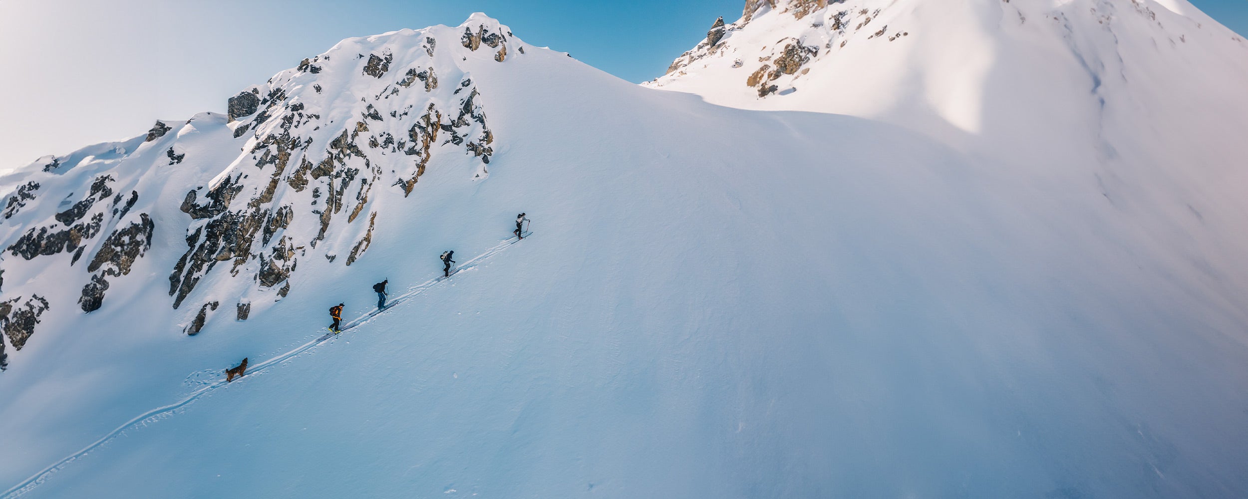 Group of skiers hiking with their golden retriever following the group in Yukon