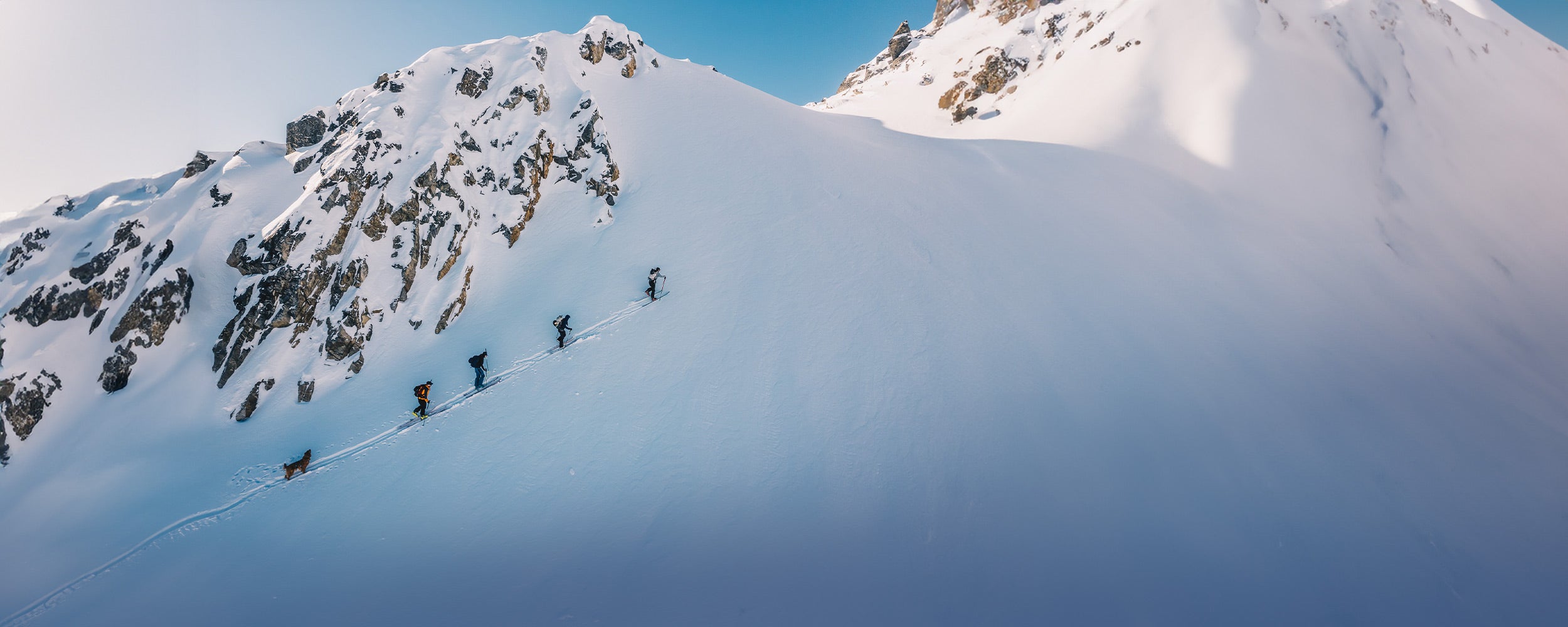 Group of skiers hiking with their golden retriever following the group in Yukon