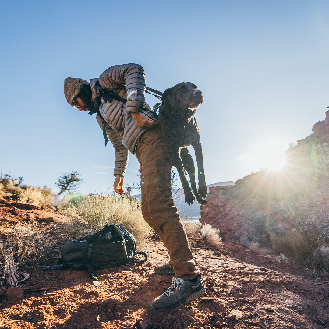 Man carrying his injured dog back to the trailhead using the K-911 Rescue Sling