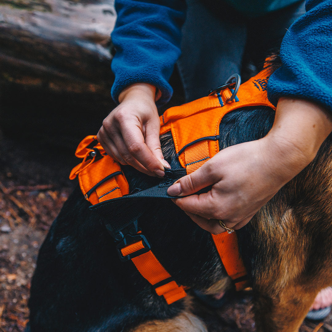 Installing velcro sleeves onto Orange Canyon Extended harness from Saker