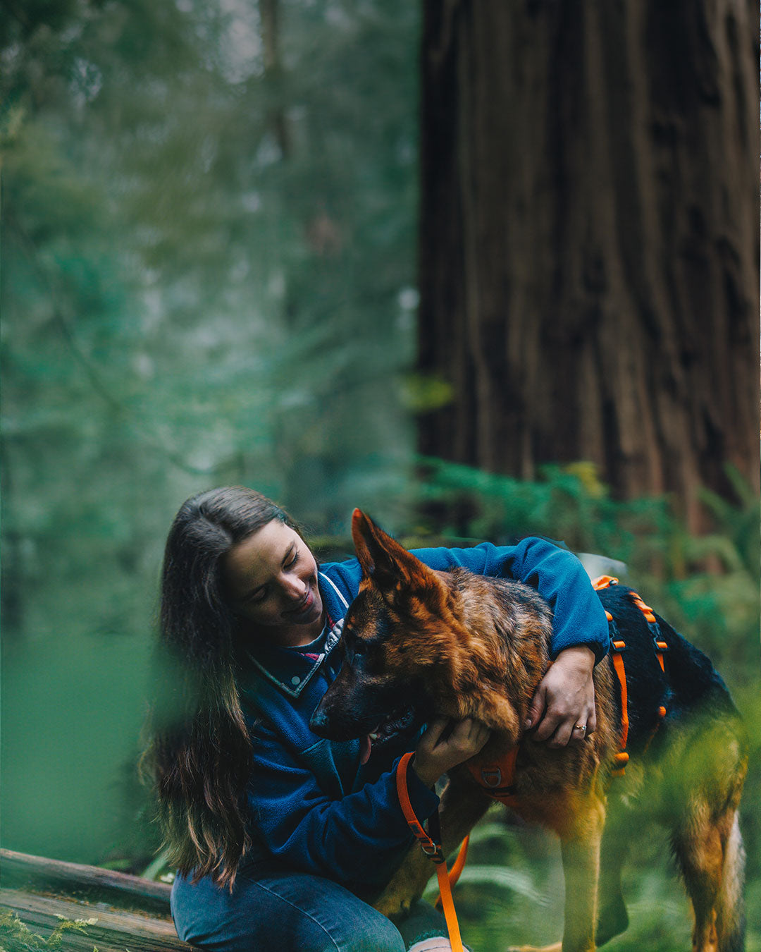 woman with her german shepherd wearing the Canyon light extended in outback orange in the redwoods