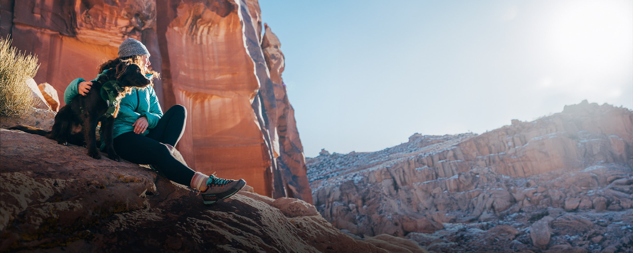 woman and her dog sitting on a rock with her dog wearing the Canyon Pro Small in Moss Green