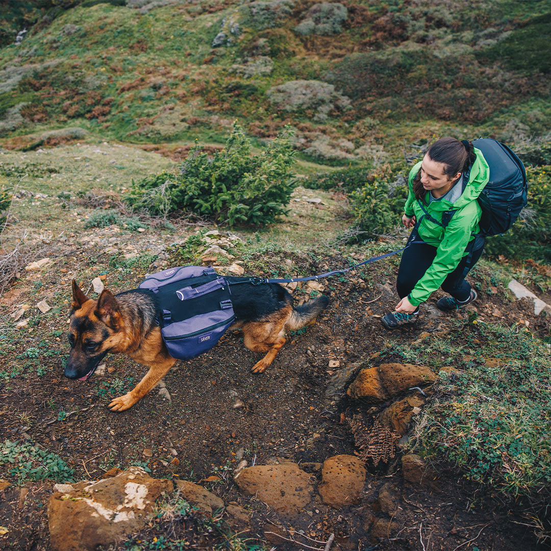 GSD pulling up a woman on a trail weaing the Canyon Light Pack in Prairies Purple