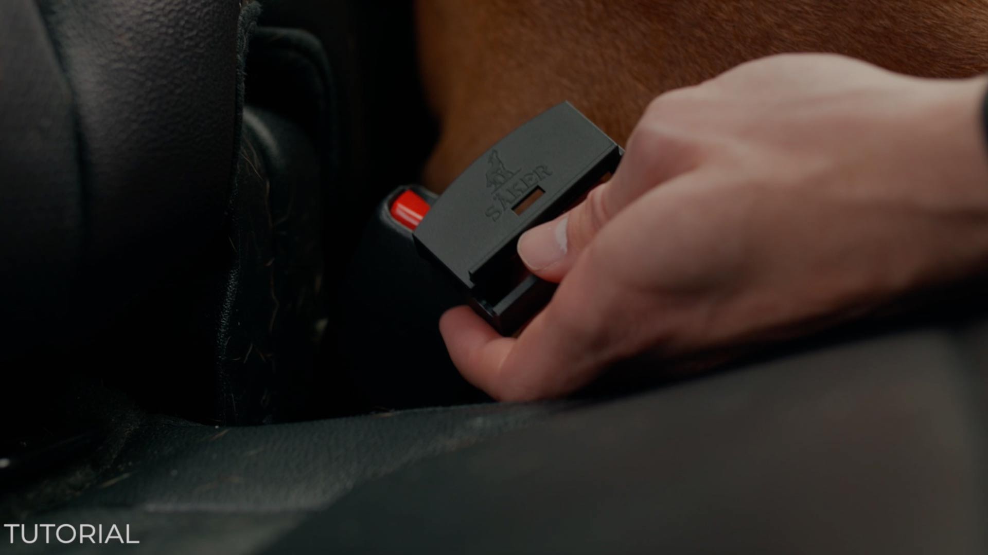 Close view of a man installing the buckle protector in the car