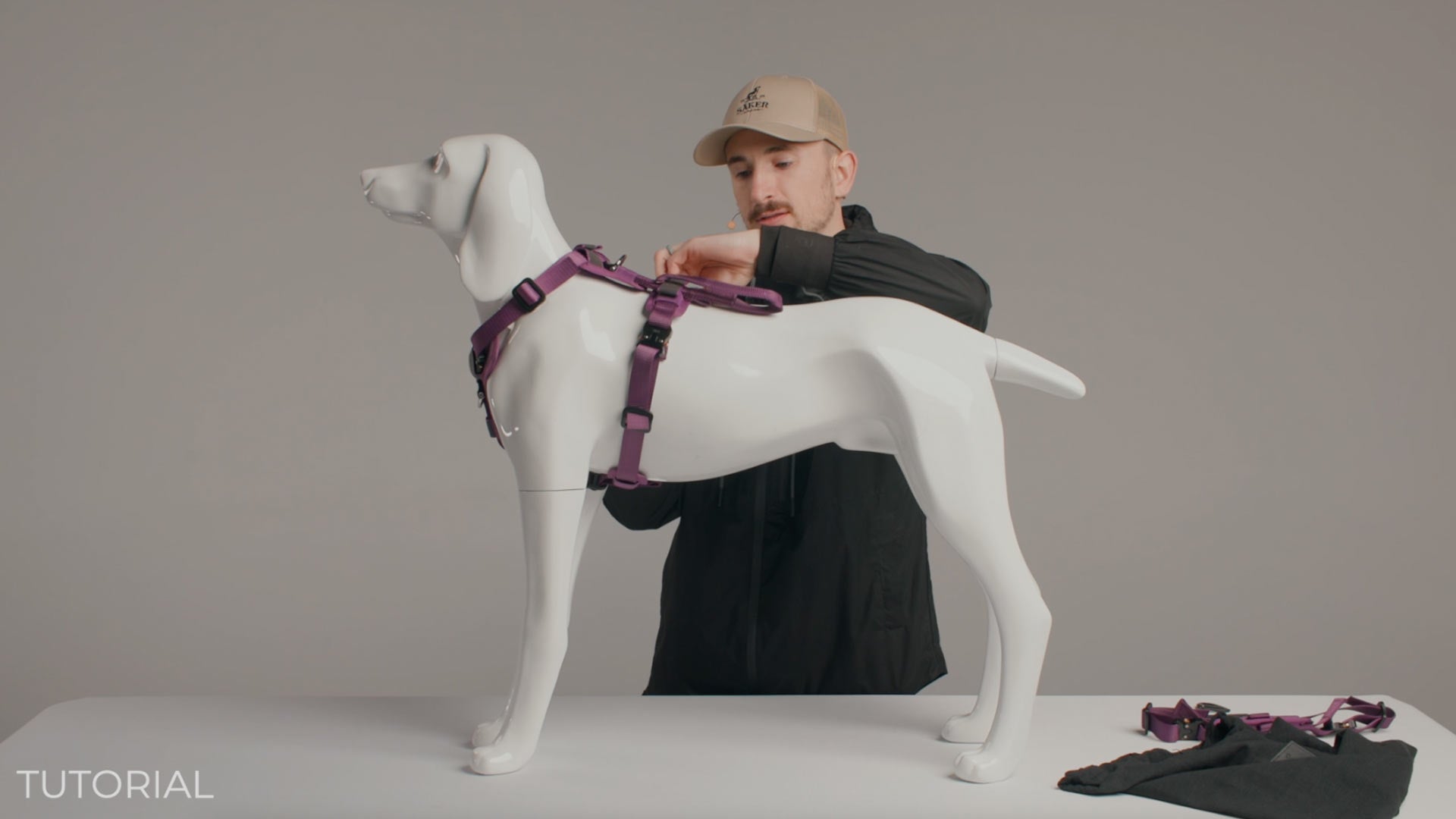 man adjusting the small core harness ascension on dog