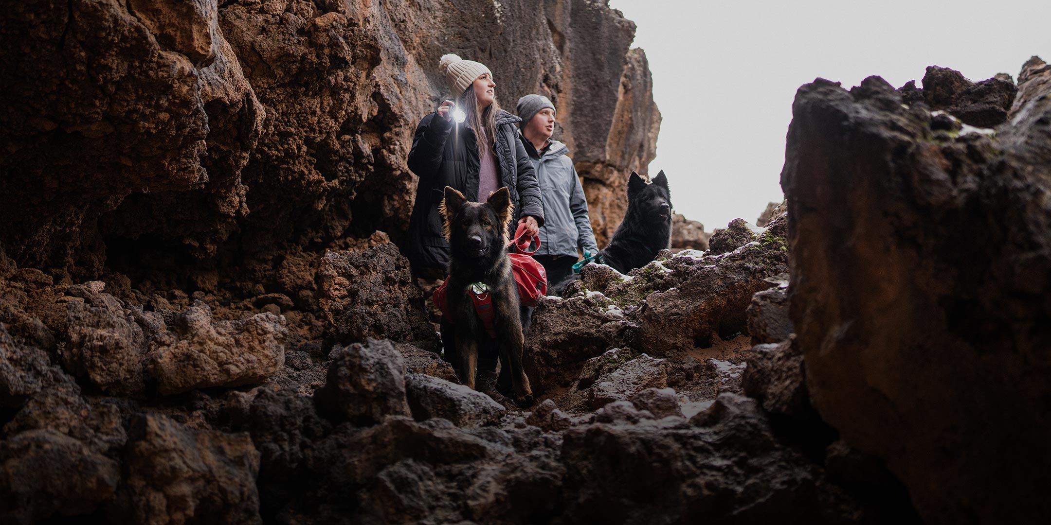 Dogs entering a cave with their ascension harness wearing Pitchblack night lights