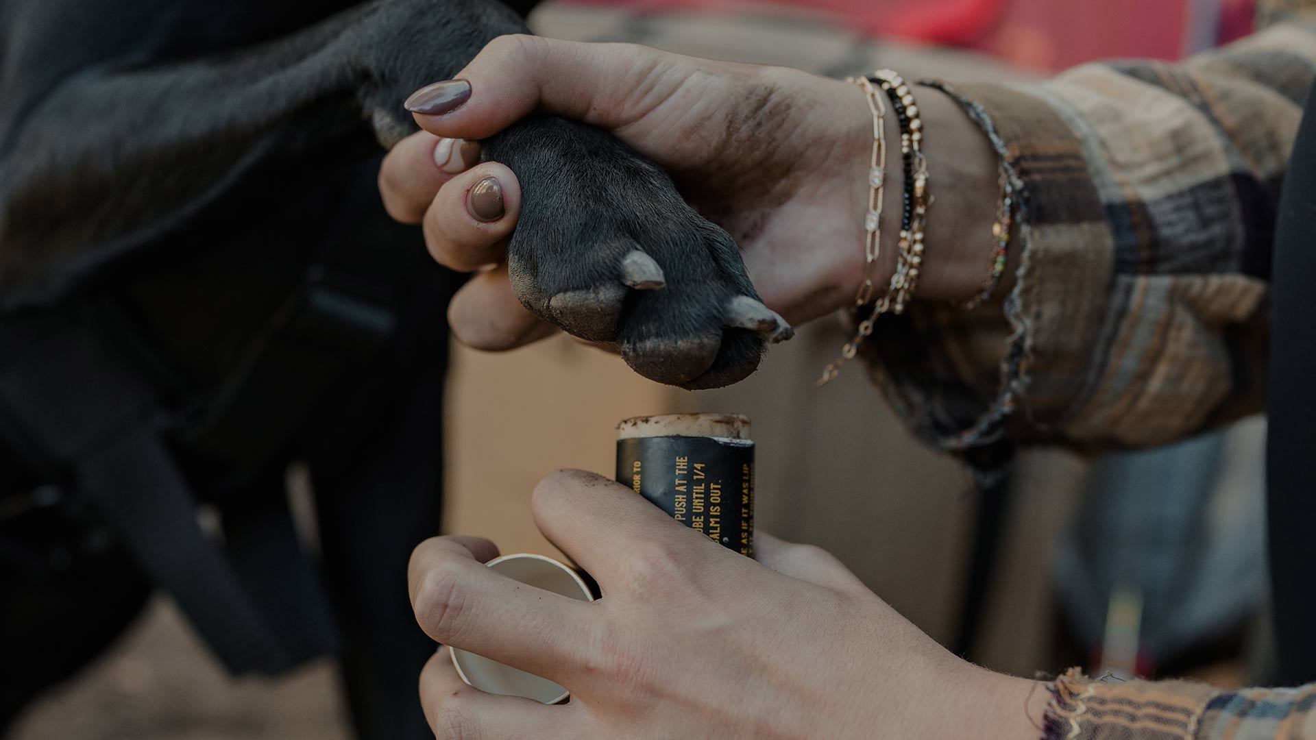 dog mom applying saker paw balm on her black dog paws at campsite to keep them hydrated