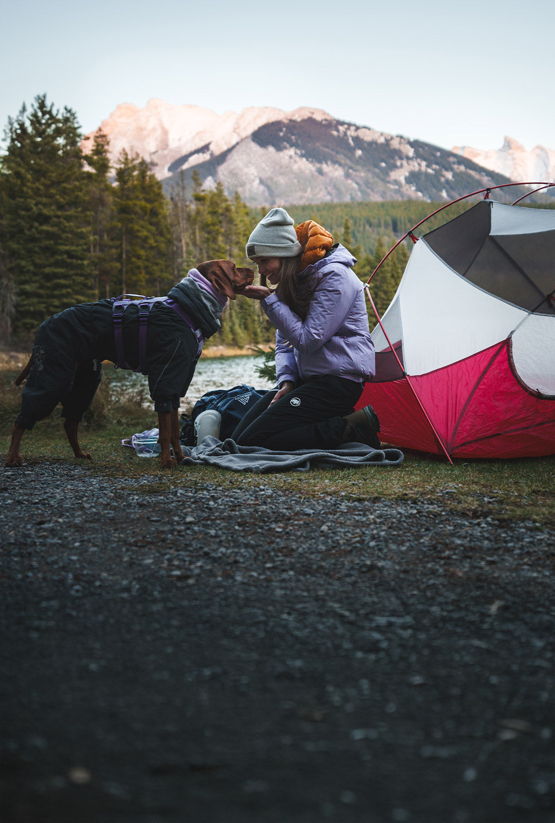 Woman kissing her vizsla next to her tent in Banff. Her dog is wearing the Muse harness in XS.