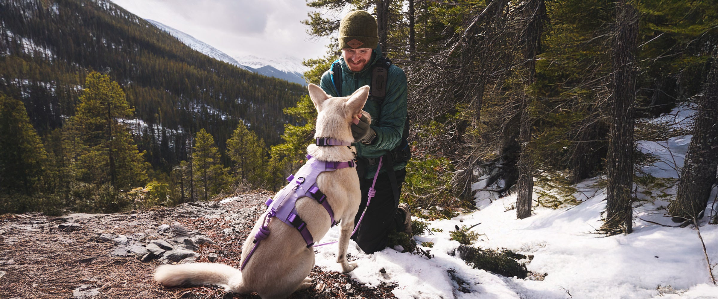 Man petting his dog in Banff while wearing the Lilas Muse harness, the trust leash and Kelp collar