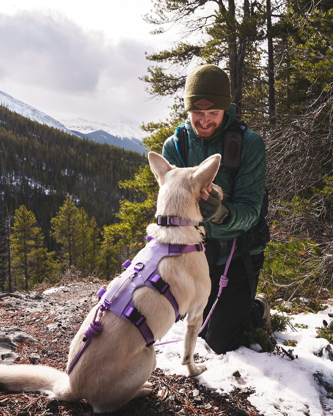 Man petting his dog in Banff while wearing the Lilas Muse harness, the trust leash and Kelp collar