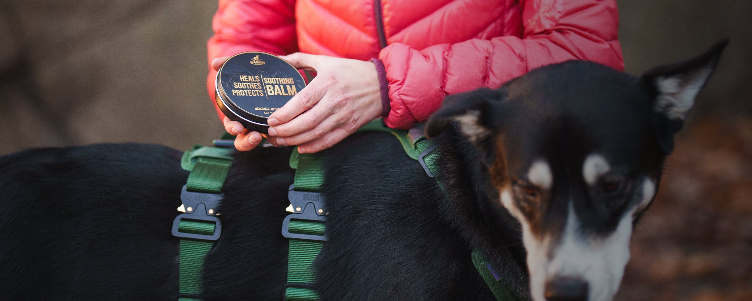 woman opening a tin can of soothing balm from saker before applying it to her dog paws