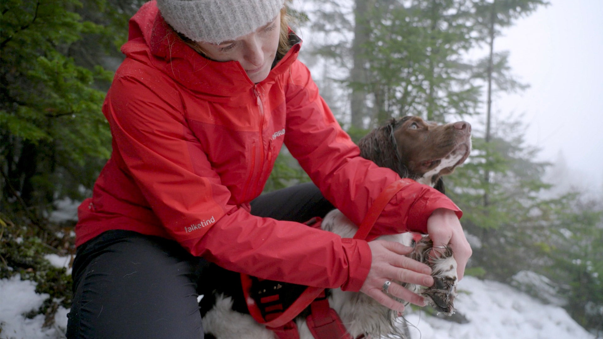 Woman applying soothing balm onto her dog's paw pads