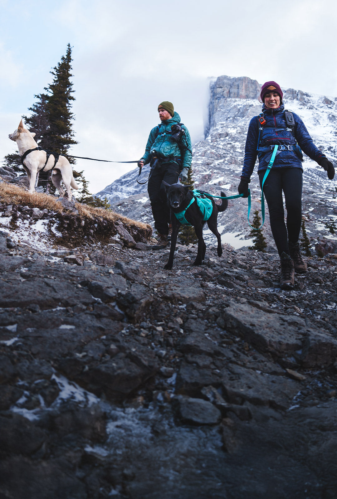 Couple andrsn.pack hiking with their dogs in banff. Both dogs are wearing the Muse harnesses