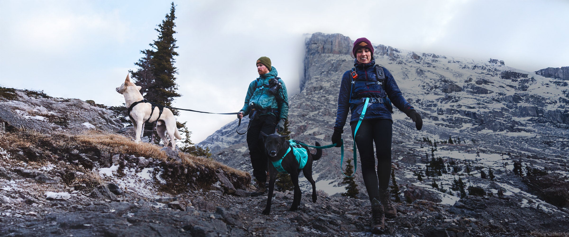 Couple andrsn.pack hiking with their dogs in banff. Both dogs are wearing the Muse harnesses