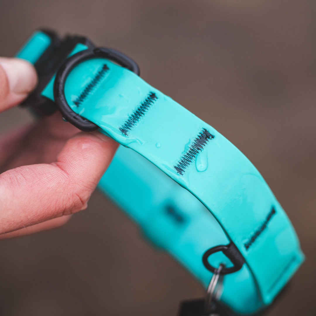 Close view of the Kelp Collar from saker with water droplets on it