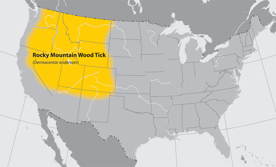 map of the US where the rocky mountain wood tick can be found