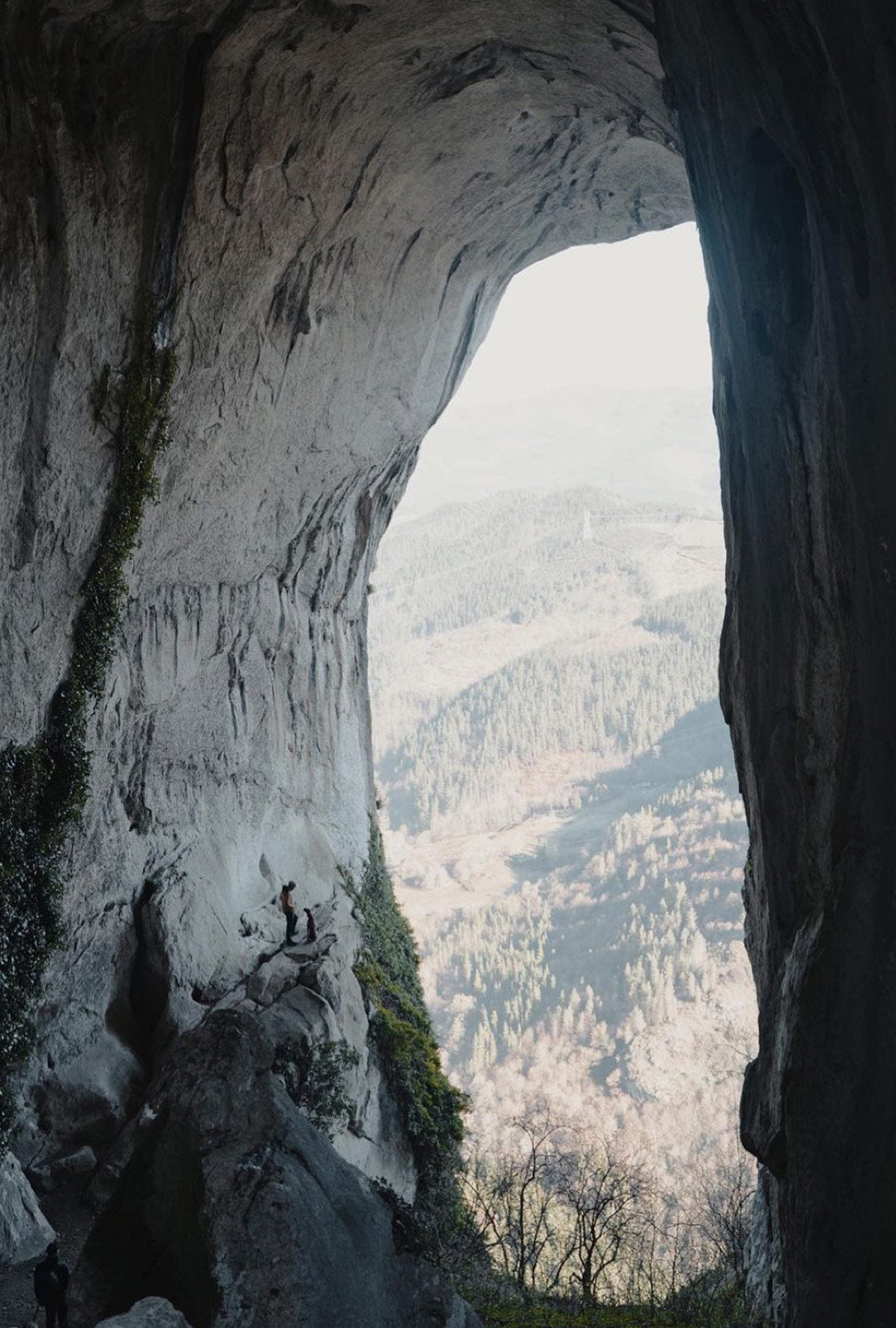 A man and his dog with the Canyon harness at the Ojo de Aitzulo