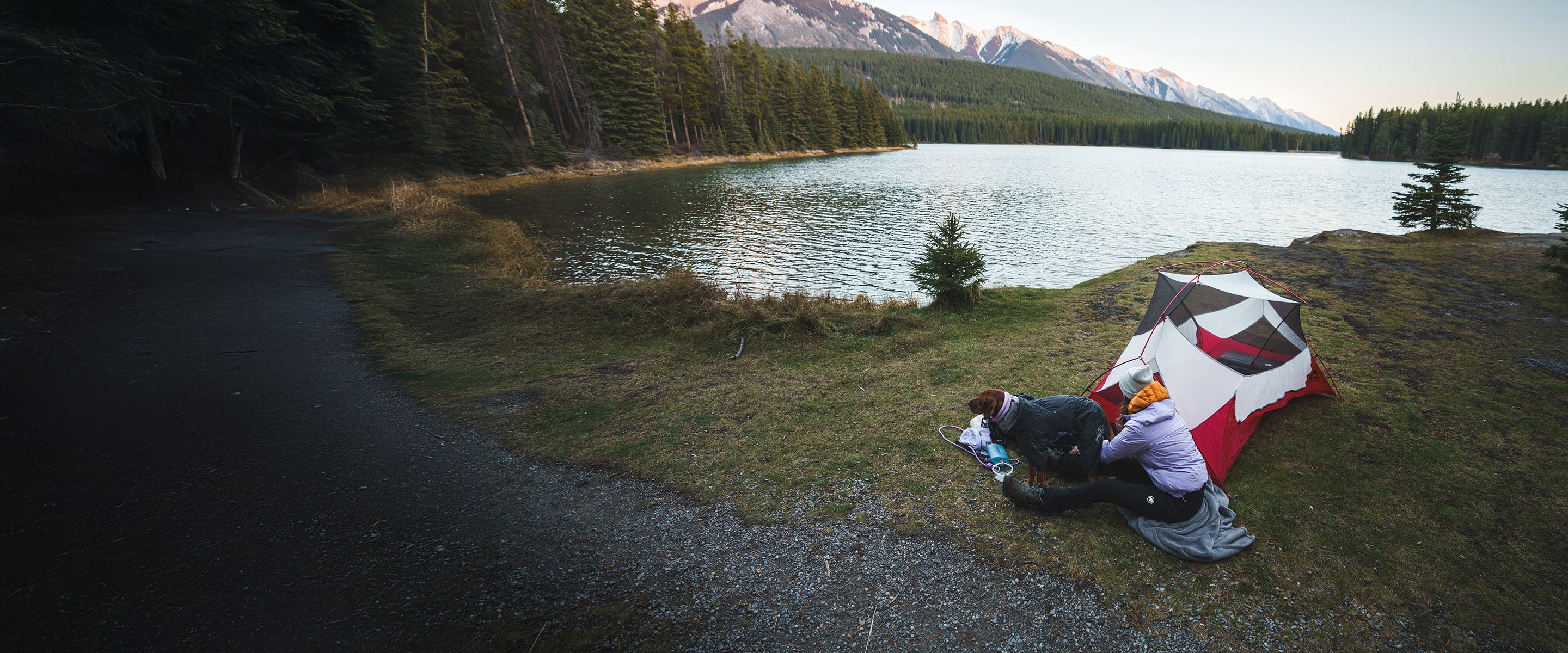 Woman setting up her tent in Banff with her Vizsla wearing the Trust leash in Lilas