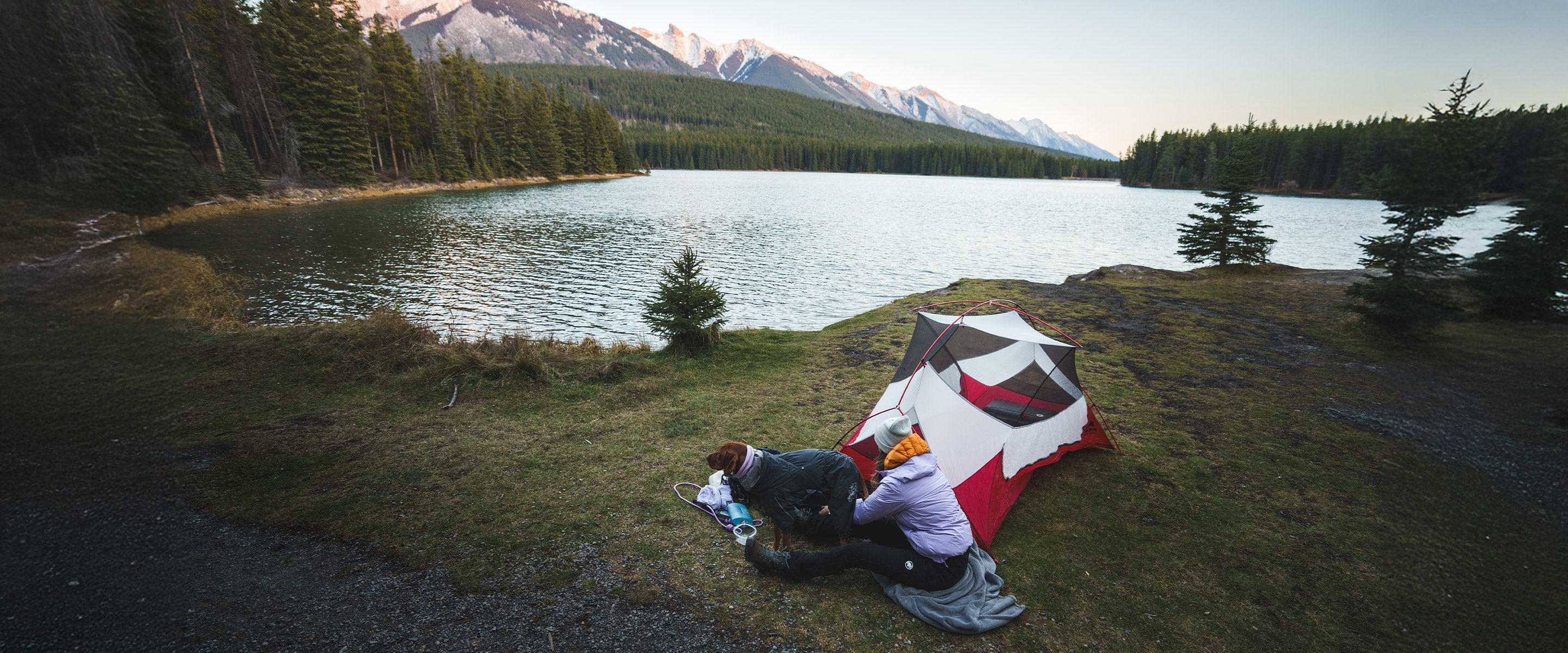 Woman setting up her tent in Banff with her Vizsla wearing the Trust leash in Lilas