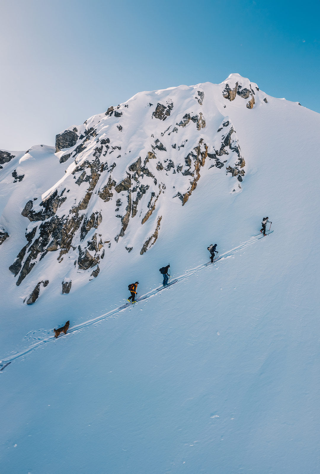 Group of skiers hiking with their golden retriever following the group in Yukon