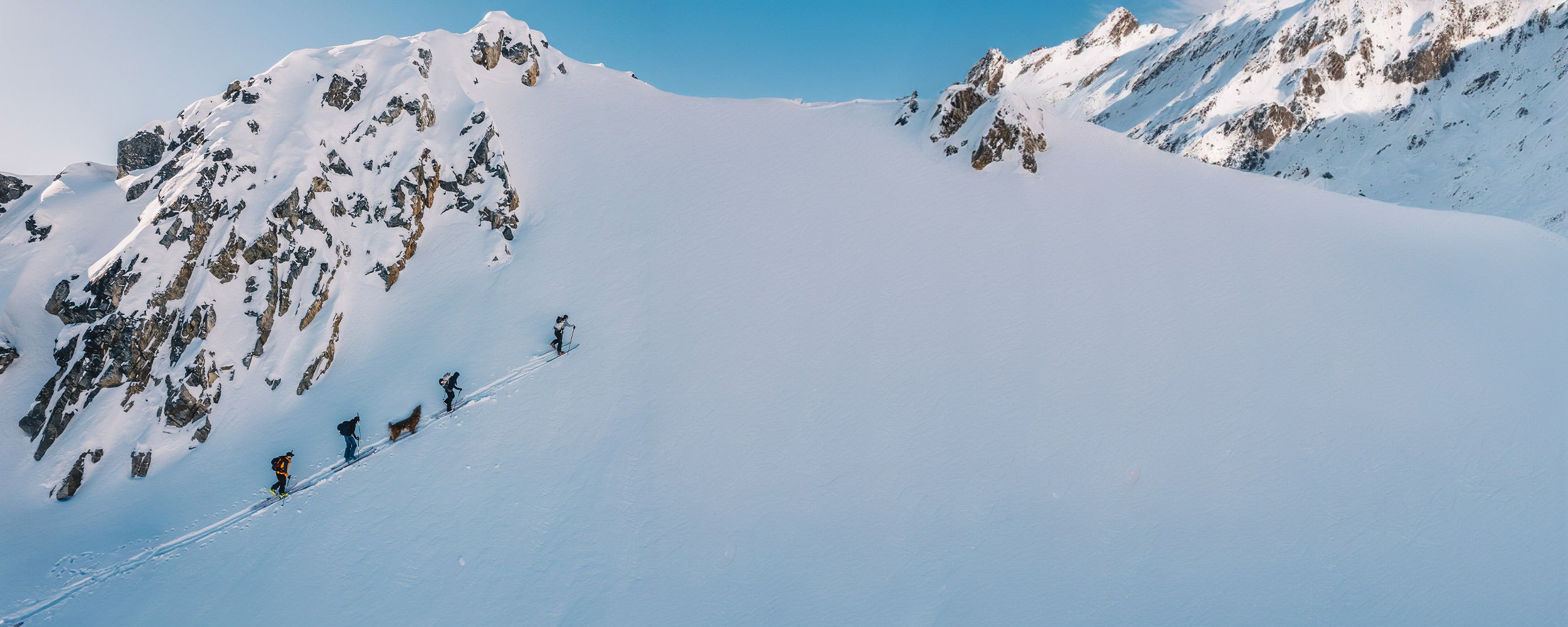 group of backcountry skiers with their dog wearing the Canyon Light extended in peak blue