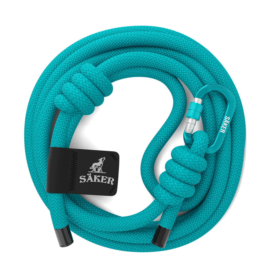 Top view of the Trust™ leash in Skeena Teal