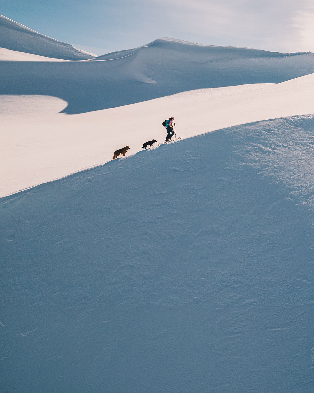 woman backcountry skiing with her two dogs in Yukon