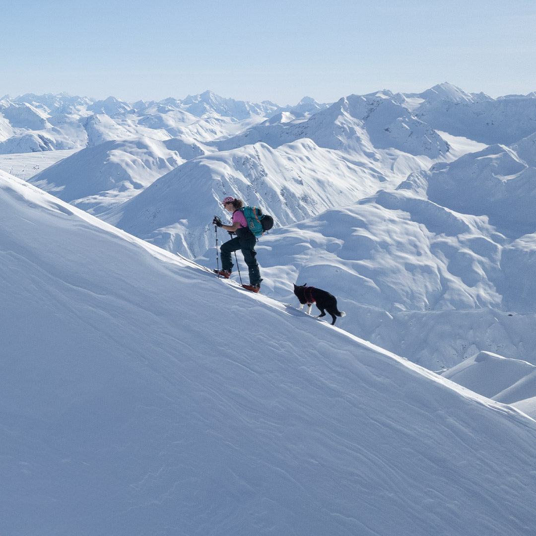 Woman backcountry touring on a peak in Yukon with her border collie wearing a Säker harness