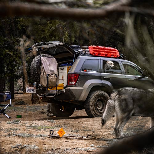 overland setup with dogs in and out of a jeep